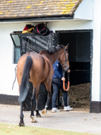 NH051025-42 - Will Carver